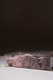 ZAHA Collection – Shades of Bloom and Radiance